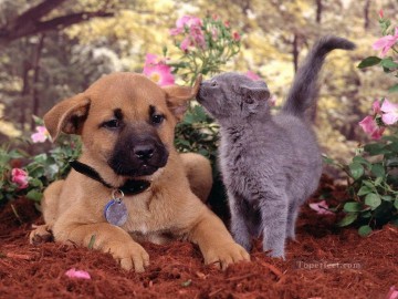動物 Painting - 猫と犬